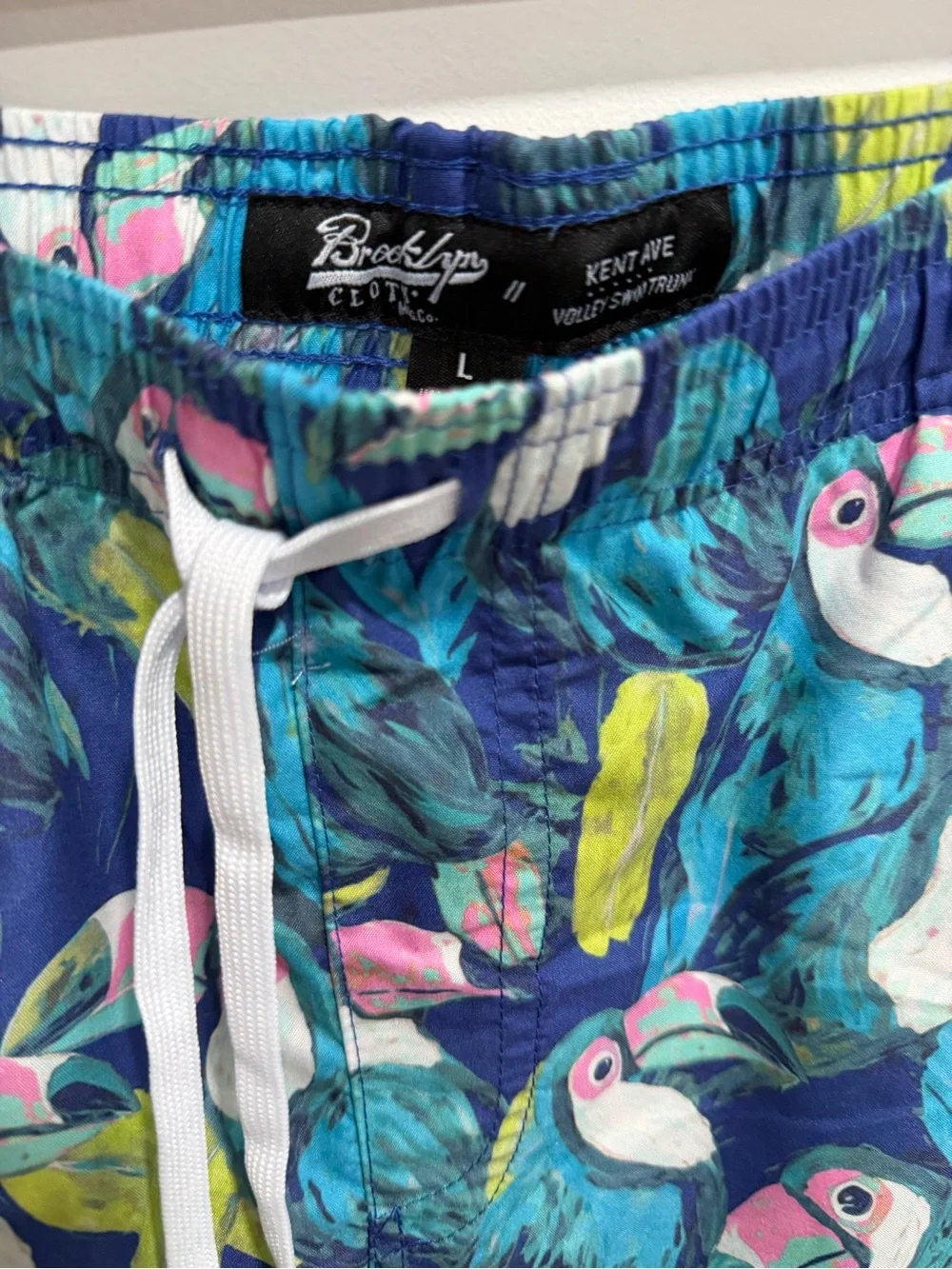 men's Brooklyn Cloth Kent Ave Volley Swim Trunks in size L, featuring a vibrant,